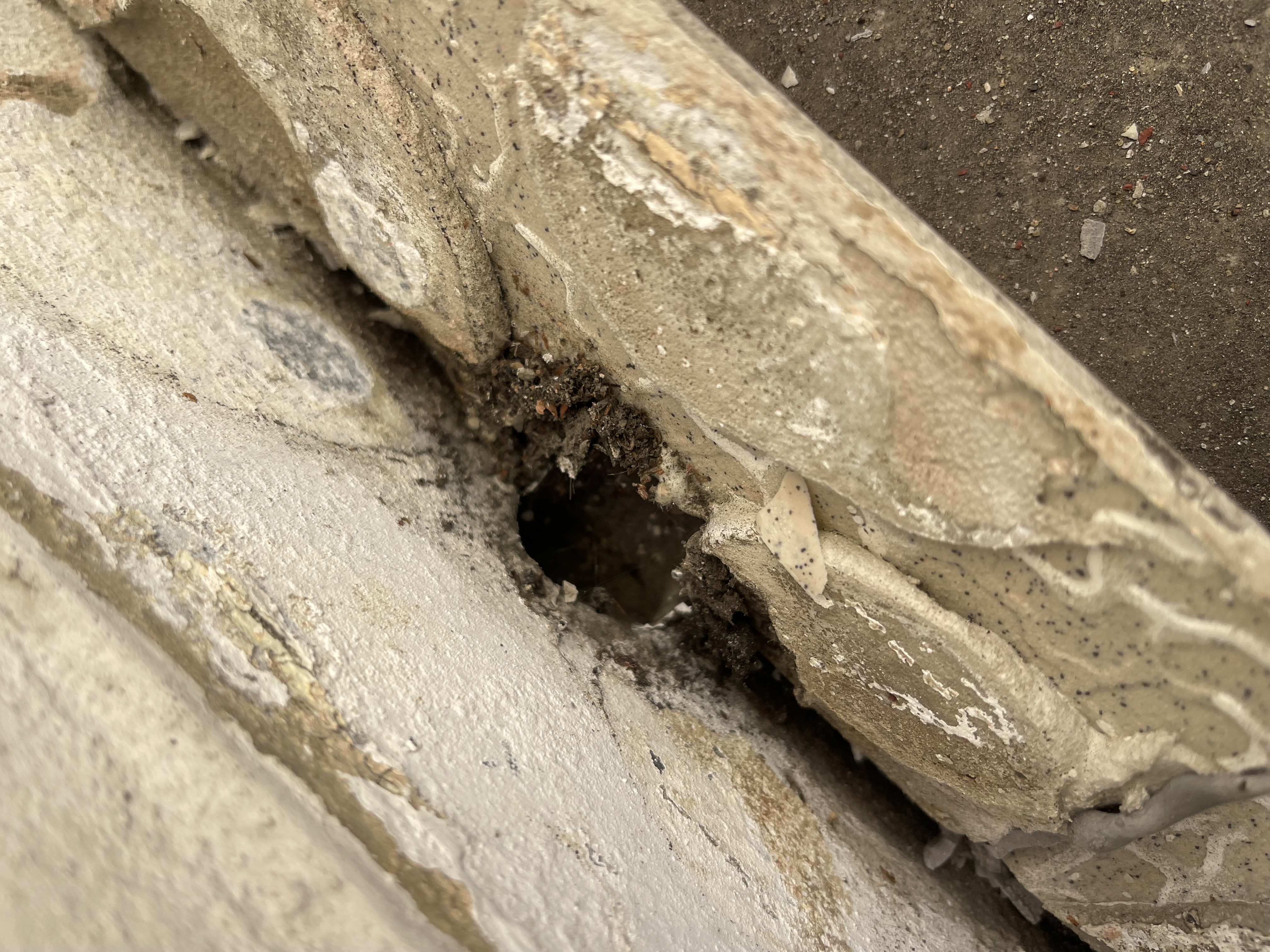 Rekonstrukce bytu - IMG_3885